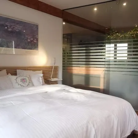 Apartamento Exklusive Loft-wohnung, Nur 30 Min Von Zürich