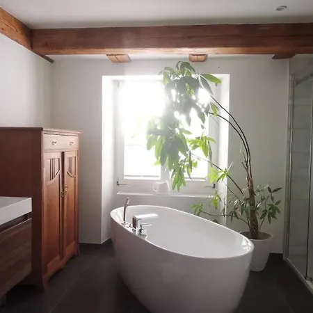 Exklusive Loft-wohnung, Nur 30 Min Von Zuerich Lejlighed