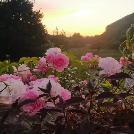 Exklusive Loft-wohnung, Nur 30 Min Von Zürich Apartamento *