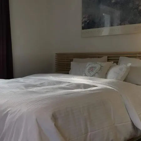 Lejlighed Exklusive Loft-wohnung, Nur 30 Min Von Zuerich *