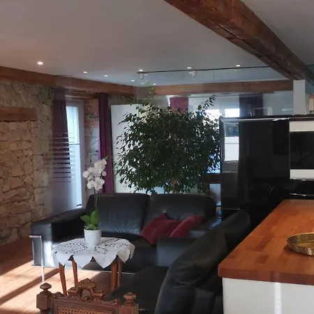 Lägenhet Exklusive Loft-wohnung, Nur 30 Min Von Zuerich *