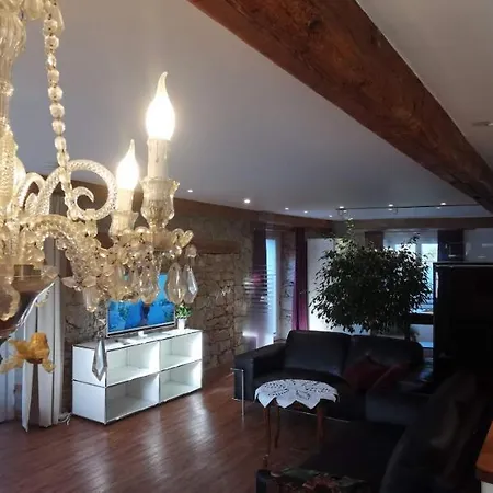 Exklusive Loft-wohnung, Nur 30 Min Von Zürich *