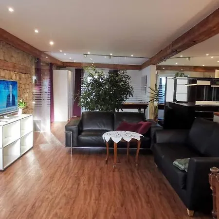 Exklusive Loft-wohnung, Nur 30 Min Von Zuerich * Klettgau