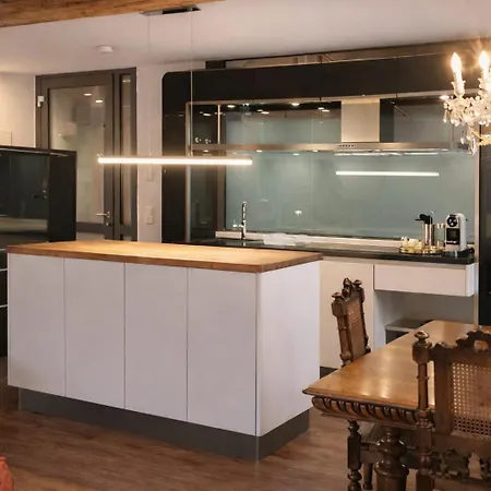 Zollhaus Loft Marco Polo Nahe Der Schweiz In Daire
