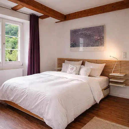 Daire Zollhaus Loft Marco Polo Nahe Der Schweiz In *