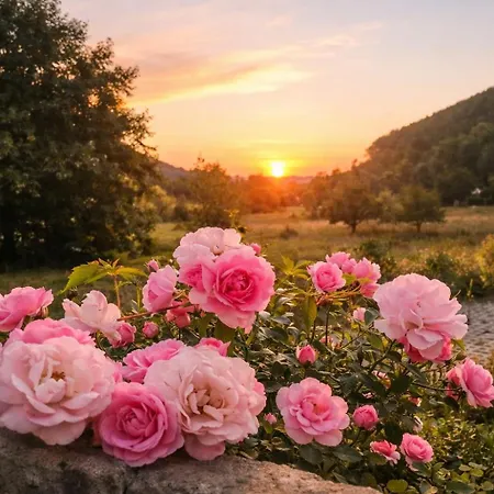 Exklusive Loft-wohnung, Nur 30 Min Von Zuerich *