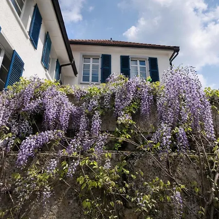 Exklusive Loft-wohnung, Nur 30 Min Von Zuerich Lägenhet