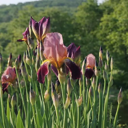 Exklusive Loft-wohnung, Nur 30 Min Von Zuerich Lägenhet Klettgau