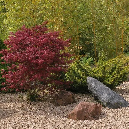 Lägenhet Exklusive Loft-wohnung, Nur 30 Min Von Zuerich