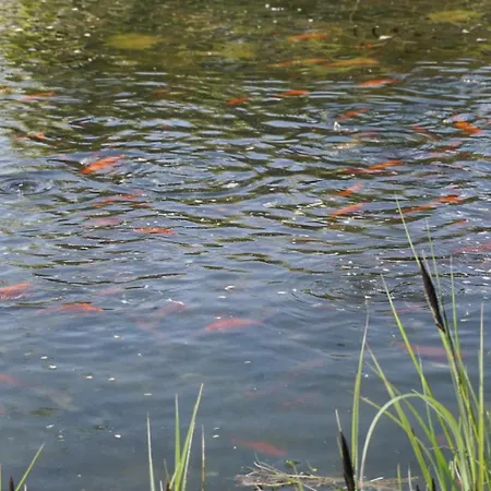 Exklusive Loft-wohnung, Nur 30 Min Von Zuerich Lägenhet *