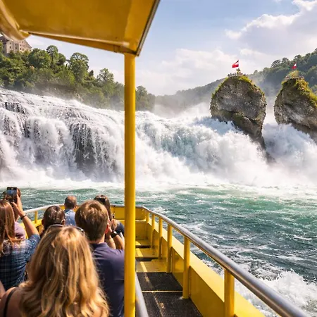 Exklusive Loft-wohnung, Nur 30 Min Von Zuerich