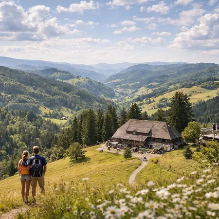 Zollhaus Loft Marco Polo Nahe Der Schweiz In Appartement *