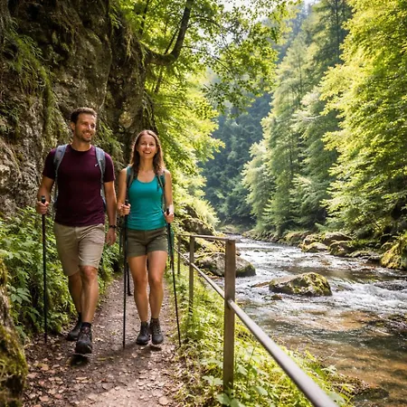 Exklusive Loft-wohnung, Nur 30 Min Von Zuerich